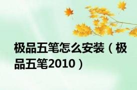 极品五笔怎么安装（极品五笔2010）