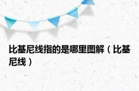 比基尼线指的是哪里图解（比基尼线）