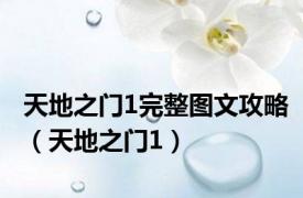 天地之门1完整图文攻略（天地之门1）