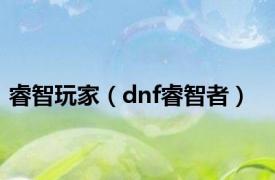 睿智玩家（dnf睿智者）