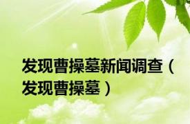 发现曹操墓新闻调查（发现曹操墓）