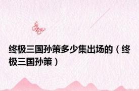 终极三国孙策多少集出场的（终极三国孙策）