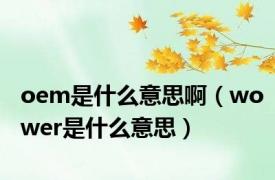 oem是什么意思啊（wower是什么意思）