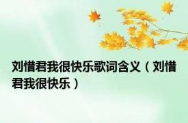 刘惜君我很快乐歌词含义（刘惜君我很快乐）