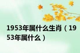 1953年属什么生肖（1953年属什么）