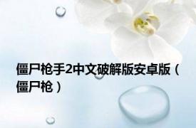 僵尸枪手2中文破解版安卓版（僵尸枪）