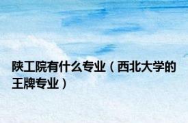 陕工院有什么专业（西北大学的王牌专业）