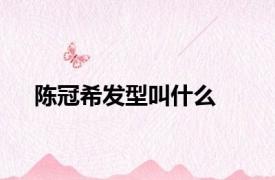 陈冠希发型叫什么