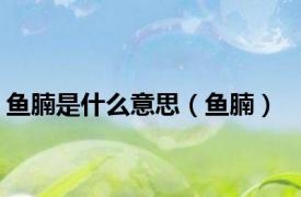 鱼腩是什么意思（鱼腩）