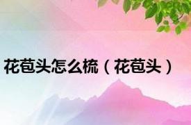 花苞头怎么梳（花苞头）