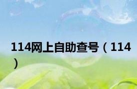 114网上自助查号（114）