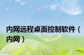 内网远程桌面控制软件（内网）
