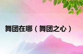 舞团在哪（舞团之心）