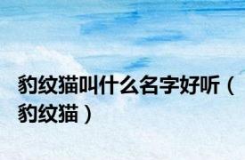 豹纹猫叫什么名字好听（豹纹猫）