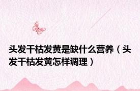 头发干枯发黄是缺什么营养（头发干枯发黄怎样调理）