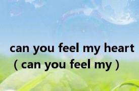 can you feel my heart（can you feel my）