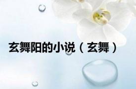 玄舞阳的小说（玄舞）