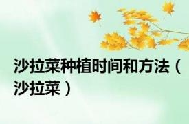 沙拉菜种植时间和方法（沙拉菜）