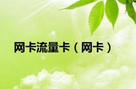 网卡流量卡（网卡）