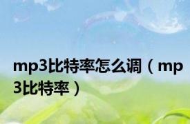 mp3比特率怎么调（mp3比特率）