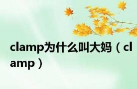 clamp为什么叫大妈（clamp）