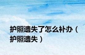 护照遗失了怎么补办（护照遗失）