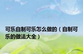 可乐自制可乐怎么做的（自制可乐的做法大全）