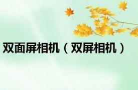 双面屏相机（双屏相机）