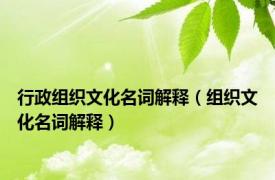 行政组织文化名词解释（组织文化名词解释）