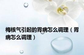 梅核气引起的胃病怎么调理（胃病怎么调理）