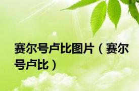 赛尔号卢比图片（赛尔号卢比）