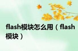 flash模块怎么用（flash模块）