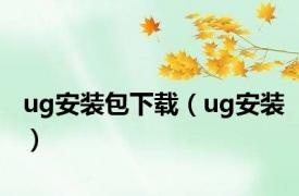 ug安装包下载（ug安装）