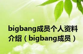 bigbang成员个人资料介绍（bigbang成员）