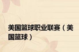 美国篮球职业联赛（美国篮球）
