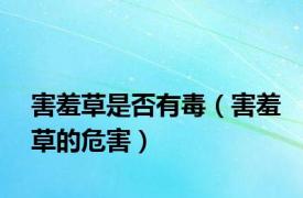 害羞草是否有毒（害羞草的危害）