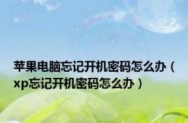 苹果电脑忘记开机密码怎么办（xp忘记开机密码怎么办）