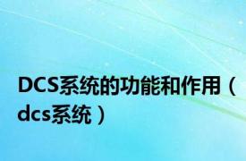 DCS系统的功能和作用（dcs系统）
