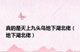 真的是天上九头鸟地下湖北佬（地下湖北佬）