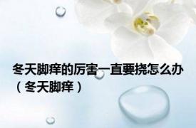 冬天脚痒的厉害一直要挠怎么办（冬天脚痒）