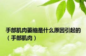 手部肌肉萎缩是什么原因引起的（手部肌肉）