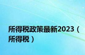 所得税政策最新2023（所得税）
