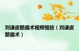 刘谦皮筋魔术视频慢放（刘谦皮筋魔术）