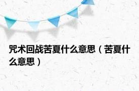 咒术回战苦夏什么意思（苦夏什么意思）