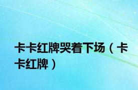 卡卡红牌哭着下场（卡卡红牌）