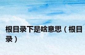 根目录下是啥意思（根目录）