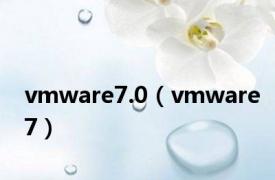 vmware7.0（vmware7）