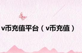 v币充值平台（v币充值）