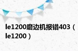 le1200磨边机报错403（le1200）