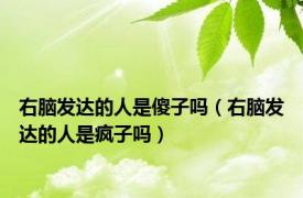 右脑发达的人是傻子吗（右脑发达的人是疯子吗）